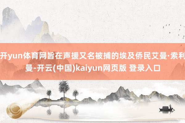 开yun体育网旨在声援又名被捕的埃及侨民艾曼·索利曼-开云(中国)kaiyun网页版 登录入口