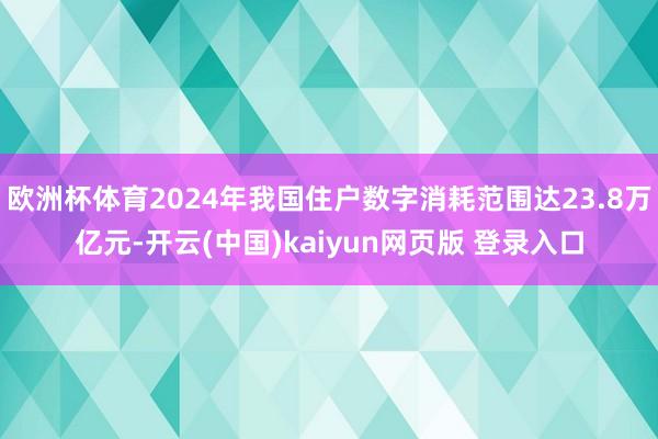 欧洲杯体育2024年我国住户数字消耗范围达23.8万亿元-开云(中国)kaiyun网页版 登录入口