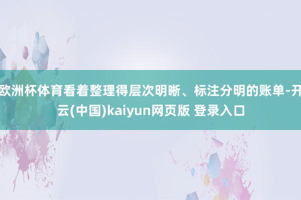 欧洲杯体育看着整理得层次明晰、标注分明的账单-开云(中国)kaiyun网页版 登录入口
